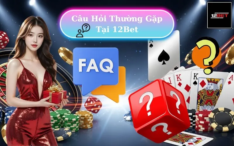 Hỏi Đáp